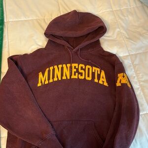 oversized minnesota hoodie